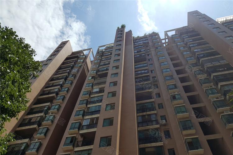 鑫利8号实景图